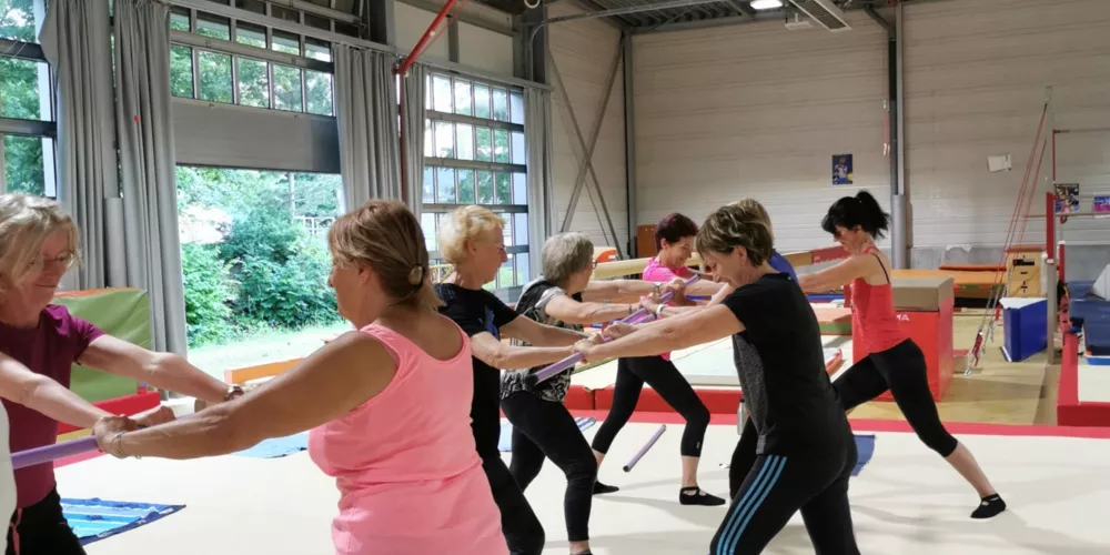 La Champagnolaise Gymnastique
