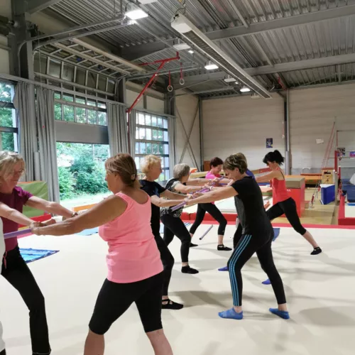 La Champagnolaise Gymnastique