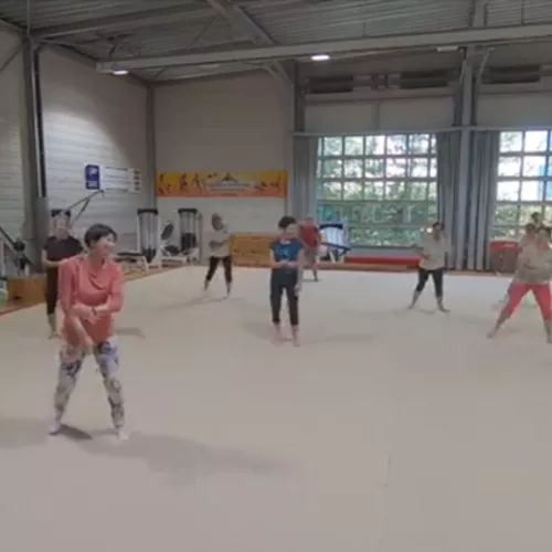 La Champagnolaise Gymnastique